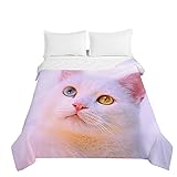 Chickwin Tagesdecke Bettüberwurf Steppdecke, 3D Tier Katze Drucken Tagesdecken mit Präge Wohndecke aus Mikrofaser Gesteppt Bettdecke für Einzelbett Doppelbett (Violett,130x150cm)