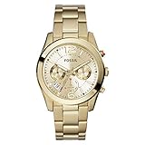 FOSSIL Analog 4.05386E+12