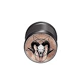 BlackAmazement Fake Plug Ohrstecker Barbell 316L Edelstahl Pentagramm Schwarze Katze Ziegenbock Widder Dämon Okkult 10mm Silber Schwarz Damen Herren (Modell Widder Skull - Farbe Schwarz)