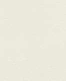 Rasch Tapeten Vliestapete (universell) Weiß 10,05 m x 0,53 m Tapetenwechsel 804546 Tapete, 10.05 0.53