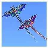 Drachen Freies Verschiffen 3D Drachendrachen für Kinder Kite Nylon Spielzeug Fliegende Eagle Kites Kinder Drachenlinie Weifang Bird Drachen Fabrik Großhandel Kinderspielzeug