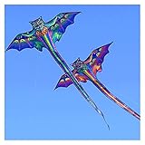 Drachen Freies Verschiffen 3D Drachendrachen für Kinder Kite Nylon Spielzeug Fliegende Eagle Kites Kinder Drachenlinie Weifang Bird Drachen Fabrik Großhandel Kinderspielzeug