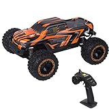 WSGFR Fernbedienung Simulation Geländewagen bürstenloses Rennauto Radio Control 1:16 Spielzeug mit großen Reifen und Freunden Orang