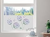 Sichtschutzfolie Bunte Pusteblume mit Schmetterlingen, Fensterfolie für Wohnzimmer, Küche, Büro, Blickdicht und lichtdurchlässig / 80x57