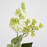 XBDD Künstliche Pfingstrosen, Seide, Hortensien, fliederfarben, künstliche Blumen, Heimdekoration, Zubehör, Hochzeit, Party, Brautstrauß, Bastelmaterial, künstliche Blumen (Farbe: Weiß)