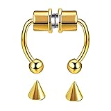Fauean Nasenring Hufeisen,Magnetische Nasenringe,Magnetischer Falscher Septum Nasenring Hoop,Reusable Fashion Nose Ring Alloy