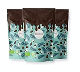 DAYO COCO Bio Kokoschips Kakao (3 x 70gr.) mit edlem Kakao und Kokosblütensirup, Bio & Veg