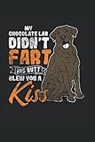 My Chocolate Lab Didn'T Fart His Butt Blew You A Kiss: Labrador Notebook, Black Labrador Retriever Gifts (Lined, 120 Pages, 6' x 9')
