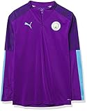 PUMA Herren Manchester City MCFC 1/4 Zip Top T-Shirt, Tillandsia Purple-Team Hellblau, X-Larg