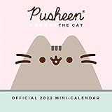 Pusheen Kalender 2022 Mini Quadratischer Kalender Wandbehang Pusheen Katze Geschenk mit Organisationsaufkleb