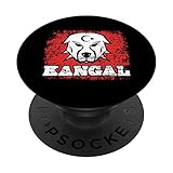 Kangal Anatolian Shepard Anatolischer Hirtenhund PopSockets mit austauschbarem PopGrip
