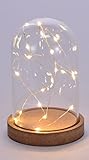 Deko Glasglocke mit 20 LED - Micro Lichterkette im Glas - Draht Lichterkette/warmweiß (16 cm)