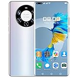 Lsqdwy Mate40 Pro SIM Free Unlocked UK 3G Smartphone mit 6,9 Zoll IPS Display, 4800mAh großem Akku, Dual SIM Dual Kameras und langlebigen Handys (Farbe : Grau)