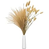 QUWOTXE Pampasgras Getrocknet Deko mit Vase, getrocknetes Schilfgras, Kaninchenschwanz, Trockenblumenstrauß, 45cm 25 Pcs Natürlich Pampas +5 Lagurus Ovatus +Weiße Keramik