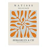 Henri Matisse Abstrakte Linien Kurven Ausschnitte Pflanzen Blätter Frau Körper Gesicht Leinwand Malerei Wandkunst Poster Schlafzimmer Wohnzimmer Studio Wohnkultur Wandb
