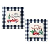 HTZ-M 2 Stück Frohe Weihnachten Kissenbezüge Schwarz Weiß Buffalo Check Plaid Dekokissen Cover Farmhouse Square Kissenbezug für Weihnachten Weihnachtszeit Dek