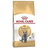 ROYAL CANIN British Shorthair | 2X 4kg Sparpackung