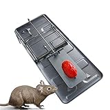 PASDD Profi Mausefalle Schlagfalle - 1 Stück Profi Mäusefalle Leistungsstark Rattenfallen Metall Einfach Zu Bedienen, Hygienisch, Effizient und Wiederverwendbar in Haus und G