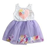 Huihong Kleider für Baby Mädchen ärmellose Bestickt Tüll Blume Prinzessin Kinder Kurzarm Kleid für Hochzeit Geburtstag Party Spitze Kleid Prinzessin Kleid (12 Monate, Lila)