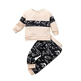 Kleinkind Baby Karikatur Sportbekleidung Langarm Cartoon Dinosaurier Bedruckte Pullover + Hosenanzug Sportbekleidung Jungen Mädchen Herbst und Winter Sweatshirts Tops Hosen O