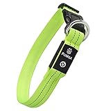 LED Hundehalsband Leuchthalsband Wasserdicht Leuchten Hundehalsband USB Wiederaufladbare Blinkende Hundehalsbänder Einstellbar Super Bright für Große Kleine Mittelgroße Hunde - Grün - M