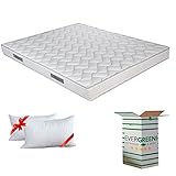 EVERGREENWEB Matratze für Doppelbett, 160 x 190 cm, orthopädisch, Höhe 16 cm, anatomisch, Füllung hypoallerg