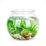 Nobleza - Kugelaquarium Bruchsicherer Kunststoff Fischschale, ideal für Blumen oder als Fischglas, 17.5 