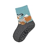 Sterntaler Baby-Jungen FLI Soft Bergtiere Hausschuh-Socken, Anthrazit Mel, 20