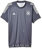 adidas Herren DFB TR JSY T-Shirt, Onix, L