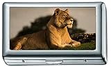 Zigarettenetui / -schachtel - King Size Zigaretten, Predator Lion pt Zigarettenetui / -schachtel, Kreditkartenetui für Damen H