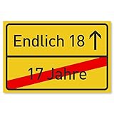 18 Geburtstag Schild - Lustige Geschenke oder Dekoration - Party Deko Geschenkideen für den 18 - Geschenk für Mädchen und Junge - 30x20