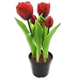 MatoSan Künstlich & Realistische Blume Tulpe mit Topf Gefühlsecht Kunstpflanze Kunstblume Frühlings-Deko wie echt | Für Wohnzimmer und Haus Fake Plant Frühling Pflanzen Dekoration Wohnung (Cherry Rot)