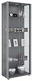 VCM Vitrine Sammelvitrine Standvitrine Glasvitrine Glas Schrank Regal Schaukasten Silber 176 x 67 x 33 cm 'Verona'