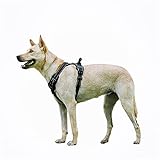 IPTJJT Tactical Dog Harness Reflektierendes Hundegeschirr ohne Zug mit 2 Leine Clip