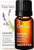 Gya Labs Ätherisches Lavendelöl - Für einen Ruhigen Schlaf - Feuchtigkeitsspender für Ihre Haut (10ml) - 100% Reine Ätherische Öle - Lavendel Duftöl für Diffuser & Äußerliche Anwendung