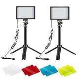 Neewer 2er Pack Beleuchtungsset für Fotografie tragbare dimmbar 5600K USB 66 LED Videoleuchte mit Mini Stativ und Farbfiltern für Foto-/Videostudioaufnahmen mit niedrigem Wink