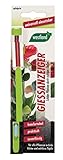 Westland 732059 Gießanzeiger klein, 16 cm, grün – Pflanzen Gießmelder, Wasserbedarf-Anzeige für Pflanzen in B