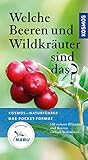 Welche Beeren und Wildkräuter sind das?: 130 essbare Pflanzen und Beeren einfach bestimmen (Kosmos-Naturführer Basics)
