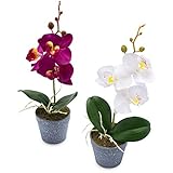 Wella Flora Künstliche Orchideen [2er Set] - Deko Orchidee im Topf - Schöne Kunstblumen wie echt - Artificial Flowers - Langlebige Kunstorchidee (Violett / Weiß)