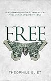 FREE: How to create passive income sources with a small amount of capital (English Edition)