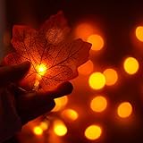 KOLLNIUN Ahornblatt Lichterketten 6M 40LED Lichterketten Herbst 3AA batteriebetrieben für Home Weihnachtsfeiern Dekoration Thanksgiving D