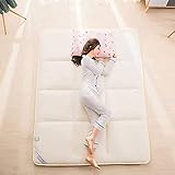 HFAFRZ Tatami-Matratzenauflage Dicke 5cm, Koreanische Bodenmatratze Zum Schlafen, Japanisches Rollbett, Klappbare Weiche Futon-Matratze, Faltbare Tatami-Bodenmatte,Beige,1.5m×2