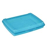 keeeper Frischhaltedose mit Klickverschluss, 17 x 13 x 3,5 cm, 500 ml, Luca Mini, B