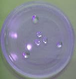 Mikrowellenteller / Drehteller / Glasteller für Mikrowelle # ersetzt Privileg Mikrowellenteller # Durchmesser Ø 28,3 cm / 283 mm # Ersatzteller # Ersatzteil für die Mikrowelle # Ersatz-Drehteller # OHNE Drehring # OHNE Drehkreuz # OHNE M