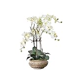 Pureday Kunstpflanze Orchidee weiß-Creme mit Übertopf aus Keramik braun 58