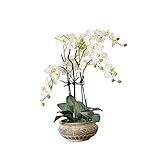 Pureday Kunstpflanze Orchidee weiß-Creme mit Übertopf aus Keramik braun 58