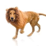 Löwenmähne Perücke für Hunde Kostüm mit Ohren Haustier Verstellbar Cosplay Urlaub Fotoshootings Party Fancy Löwe Hut Party Aktivität Hellb