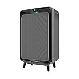 BISSELL air220 | ERKENNT UND REINIGT HAUSHALTSSCHADSTOFFE UND GERÜCHE | Air Purifier |3001N, Schwarz/Mittelg