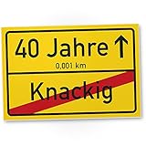 DankeDir! 40 Jahre (Knackig) Kunststoff Schild - Ortssschild Geschenk 40. Geburtstag Bester Freund Freundin Geschenkidee Geburtstagsgeschenk 40ten Geschenk 40er Geburtstagsparty