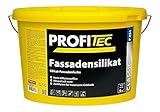 ProfiTec Fassadensilikat P451 5